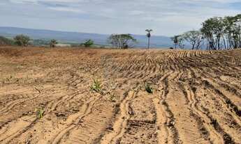 Imagem 5: Fazenda com 151,80 hectares à venda - Santa Rosa do Viterbo/SP