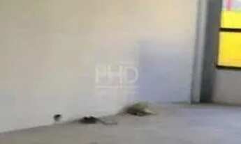 Imagem 2: Galpão comercial para aluguel em Nova Petrópolis, SBC 370 m², frente, 4 vagas