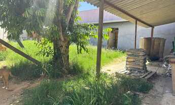 Imagem 5: Vendo terreno no dic 1 Campinas