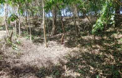 Imagem 7: Chácara Chácara com venda por R$95.000