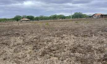 Imagem 3: Lotes 17X40 na beira do Rio Paraguaçu em Iaçu-Ba
