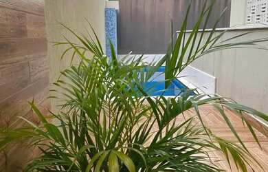 Imagem 6: Alugar - Apartamento Totalmente Mobiliado em Ponta Negra - 1/4 - Vista Mar