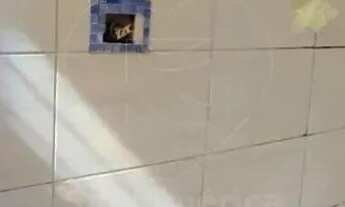 Imagem 6: Casa à venda com 3 quartos e piscina na Zona Oeste de Londrina