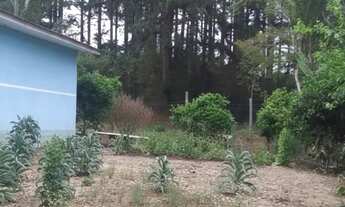 Imagem 2: CHÁCARA COM PREÇO ABAIXO DO MERCADO