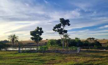 Imagem 7: Fazenda Premium a 95 km de Cuiabá: Estrutura Completa e Pastagens Formada