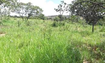 Imagem 6: Oportunidade única: Lindas chácaras de 10 mil metros WhTSApp * Guilherme