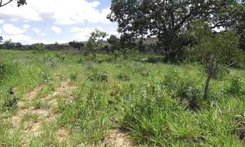 Imagem 7: Oportunidade única: Lindas chácaras de 10 mil metros WhTSApp * Guilherme