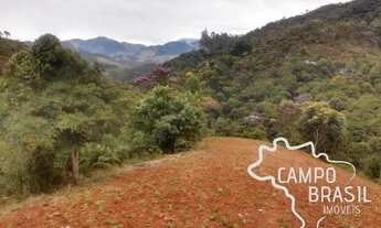 Imagem 2: Campo Brasil Imóveis! Área de 36mil m² em São Francisco Xavier!