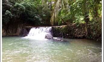 Imagem: Fazenda Na nossa senhora da guia