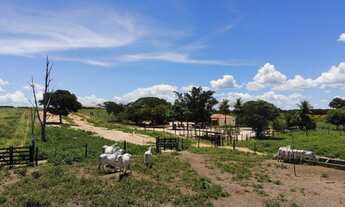 Imagem 7: Fazenda à venda entre Brejolândia e Serra Dourada, BA com 6808 hectares