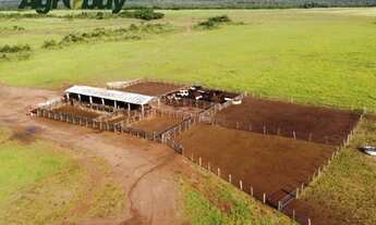 Imagem: Fazenda Município de Jaciara mt