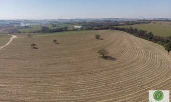 Imagem 4: Ótima fazenda a venda próxima a Rodovia Castelo Branco em Porto Feliz