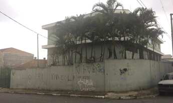 Imagem 2: São Paulo - Galpão Comercial - Vila Nova York