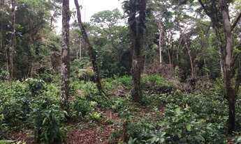 Imagem 4: Vendo Chacara 30x80 ?2400? escriturada e em dia