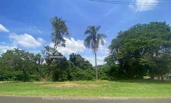 Imagem: Lote com excelente topografia à venda no