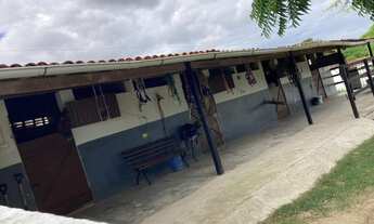 Imagem: Haras para Venda em Gravatá, Gravatá Centro