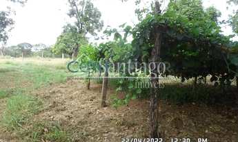 Imagem 2: Fazenda - Centro - Paraopeba