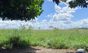 Imagem 4: Fazenda em Tabuleiro de Vitória, 400 tarefas de terra a 110km de Salvador