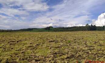 Imagem 3: Fazenda completa em São José dos Pinhais, Agro-indústria em São José dos Pinhais, Área rur