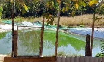 Imagem 4: Chácara de 2 hectares Toda Formada. Localizado no Santo Antônio do Descoberto