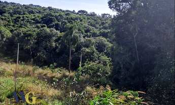 Imagem: Chácara para Venda em Balsa Nova, Rodeio