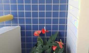 Imagem 6: Apartamento à venda, 77 m² por R$ 670.000,00 - Alto da Mooca - São Paulo/SP