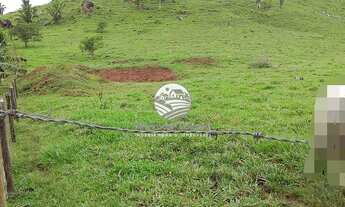 Imagem: Jaru - Sítio - 12 Alqueires