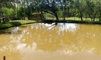 Imagem 3: Fazendinha com 3 lagoas em Mateus leme MG