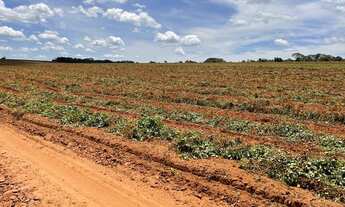 Imagem 2: Fazenda 350 alqueires, especial para pantio na Região de Quatá