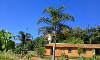 Imagem 7: Sitio com 3.980 mt² / Bairro Ipelandia / Suzano
