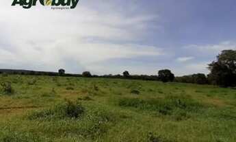 Imagem 3: Fazenda Com 1039 Alqueires Localizada em Santa Rita To