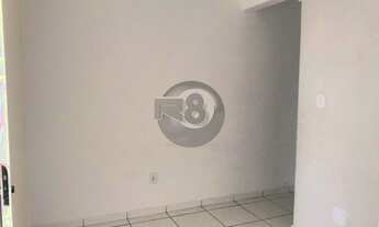 Imagem: FLORIANóPOLIS - Padrão - Coqueiros