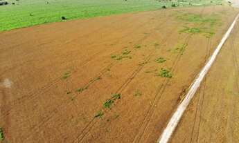 Imagem 3: Fazenda Agrícola de 240 alqueires em Caiapônia/GO