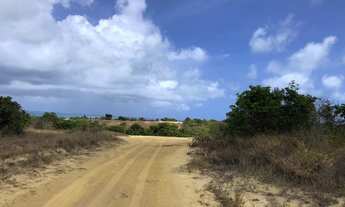 Imagem 3: Terreno carapibus