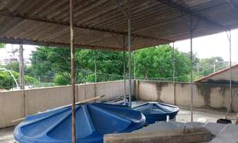 Imagem 3: Prédio 3 Andares Jardim Campo Belo