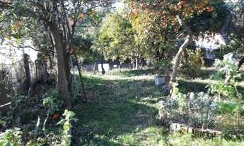 Imagem: CAXIAS DO SUL - Terreno Padrão - Pio X