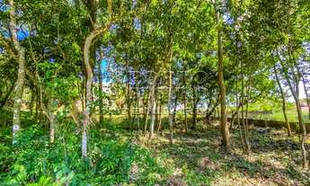 Imagem 5: FLORIANóPOLIS - Terreno Padrão - Morro Da Cruz