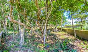 Imagem 4: FLORIANóPOLIS - Terreno Padrão - Morro Da Cruz