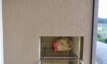 Imagem 2: Apartamento para venda com 54 metros quadrados com 2 quartos em Costeira - Araucária - PR