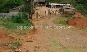 Imagem 2: Ótimo Sitio em Coronel Pacheco