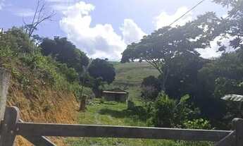 Imagem 6: Sítio para Venda em Gravatá