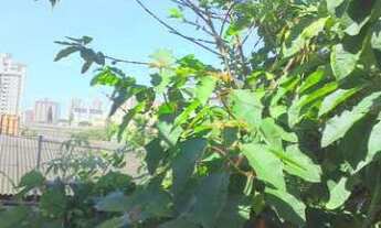 Imagem 6: SANTO ANDRE - Residential / Home - CAMPESTRE