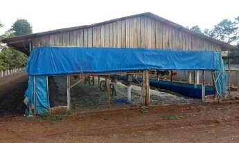 Imagem 4: Oportunidade Sítio Criação Frangos Ibiporã