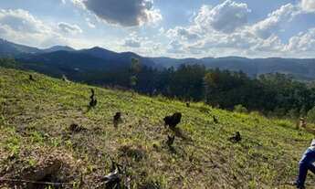 Imagem 5: O certo para você