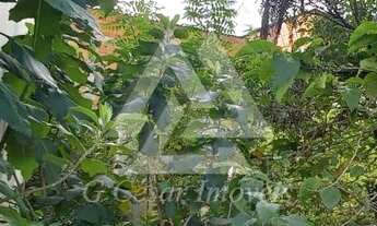Imagem 2: Terreno em Parque Boa Esperança - Mauá, SP