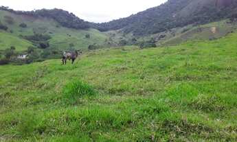 Imagem 2: MINI-FAZENDA COM 22,5 ALQUEIRÃO EM CONCEIÇÃO DE MACABÚ