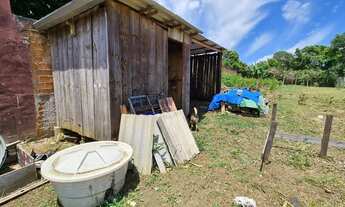 Imagem 3: Terreno em Quatros Barras com 550 metros