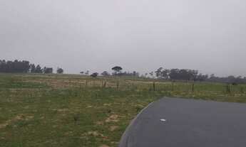 Imagem 3: IçARA - Terreno Padrão - Boa Vista