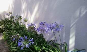 Imagem 6: SOBRADO - PLANALTO PAULISTA - SP