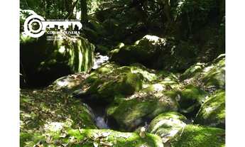 Imagem 2: Sitio a venda em Registro SP